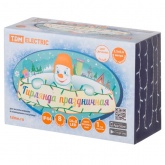 Гирлянда новогодняя TDM Бахрома 2,5х0,6 м, белый свет, 8 режимов, наружное использование, IP44