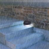 Светильник садовый ЭРА SL-PL8-MNT1 на солнечной батарее, пластик, черный, 5,5см