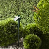 Светильник садовый ЭРА SL-PL42-BTF на солнечной батарее Порхающая бабочка, пластик, цветной 42см