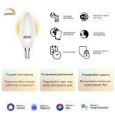 Светодиодная лампа Gauss Smart Home DIM+CCT E14 C37 5 Вт