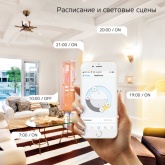Светодиодная лампа Gauss Smart Home DIM E27 A60 10 Вт 2700K