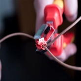 Ответвитель КВТ ОВ-2 (1,5-2,5) прокалывающий