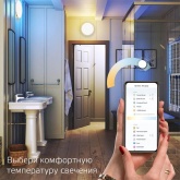 Светильник светодиодный стационарный (накладной) Gauss Smart Home тип CCT+DIM 35 Вт