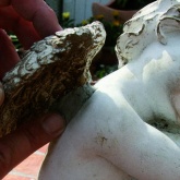 Ремонтный стик Weicon Титан 57г