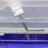 Клей-герметик Weicon Aqua-Flex MS-Полимер 310мл белый