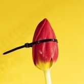 Хомут-стяжка кабельная Rexant нейлоновая 120x2,5 мм черная [упаковка 100шт]