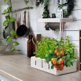 Светильник светодиодный для растений Ledvance Indoor Garden KIT 450 WT 20W 3550K 189x476x453mm