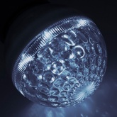 Лампа строб Neon-Night E27 D50мм прозрачная