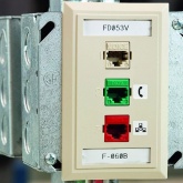 PTL-19-423 этикетки 25.4х25.4мм, 250 шт. в рулоне