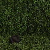 Садовая гирлянда ЭРА ERASF22-29 Бахрома на солнечной батарее холодный свет 110 LED 3.8x0.5m IP44