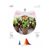 Лампа светодиодная для растений ЭРА FITO-36W-RB-E27-FOLD E27 4-х лепестковая красно-синего спектра