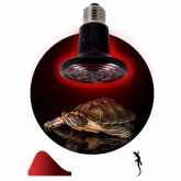 Лампа инфракрасная ЭРА FITO 50W НQ E27 керамическая, CeramiHeat модель RX для брудера, рептилий