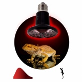 Лампа инфракрасная ЭРА FITO 100W НQ Е27 керамическая, CeramiHeat модель RX для брудера, рептилий