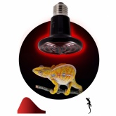 Лампа инфракрасная ЭРА FITO 150W НQ Е27 керамическая, CeramiHeat модель RX для брудера, рептилий