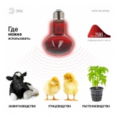 Лампа инфракрасная ЭРА ИКЗК R63 60W 230V Е27 для обогрева животных
