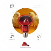 Лампа инфракрасная ЭРА ИКЗК R63 60W 230V Е27 для обогрева животных