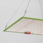 Квантум борд ЭРА FITO-80W-LED-QB Quantum board фитопрожектор полного спектра 80W 3500K