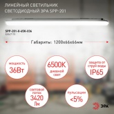 Светильник светодиодный ЭРА SPP-201-0-65K-036 36W 6500K 3420Lm IP65 L1200mm линейный, матовый