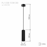 Подвесной светильник ЭРА PL1 COB-10 BK 300 COB 10W D80x300mm черный 5056306016646