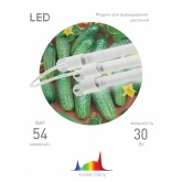 Светильник модульный для растений ЭРА FITO 3х10W LINE Ra90 полного спектра 30W 550x125x200mm