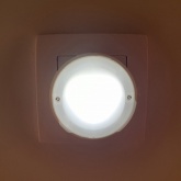 Ночник ЭРА NN-626-LS-Y желтый, датчик освещенности (5055398674635)