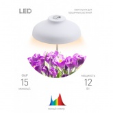 Светильник светодиодный ЭРА для горшечных растений Сrocus FITO-12W-FLED IP20 110x110x215mm 785390