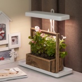 Светильник светодиодный для растений напольный ЭРА FITO-20W-QLED-W IP40 500x220x490mm белый 784218