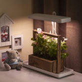 Светильник светодиодный для растений напольный ЭРА FITO-20W-QLED-W IP40 500x220x490mm белый 784218