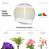 Светильник светодиодный для растений напольный ЭРА FITO-20W-QLED-W IP40 500x220x490mm белый 784218