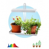 Светильник светодиодный для растений напольный ЭРА FITO-20W-QLED-W IP40 500x220x490mm белый 784218