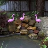 Садовый светильник ЭРА ERADF008-06 на солнечной батарее, пластик, 3 шт. 52.5 см (5056183780555)