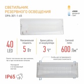 Светильник аварийный ЭРА DPA-301-1-65 постоянный 40LED 3ч IP65 NiCD