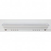 Светильник аварийный ЭРА DPA-301-1-65 постоянный 40LED 3ч IP65 NiCD