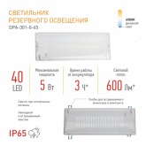 Светильник светодиодный аварийный ЭРА непостоянный DPA-301-0-65 40LED 3ч IP65