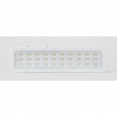 Светильник светодиодный аварийный ЭРА универсальное подключение DBA-105-0-20 30LED 5ч IP20