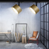 Светильник трековый однофазный ЭРА TR48-GX53 MG под лампу GX53 матовое золото