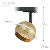 Светильник трековый однофазный ЭРА TR47-GX53 MG под лампу GX53 матовое золото