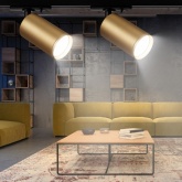 Светильник трековый однофазный ЭРА TR39-GU10 MG под лампу MR16 золото