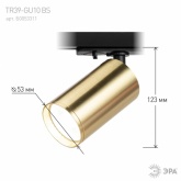 Светильник трековый однофазный ЭРА TR39-GU10 BS под лампу MR16 латунь