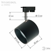 Светильник трековый однофазный ЭРА TR15-GX53 BK/SL под лампу-GX53, алюминий, цвет черный+серебро