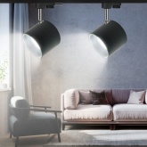 Светильник трековый однофазный ЭРА TR15-GX53 BK/SL под лампу-GX53, алюминий, цвет черный+серебро