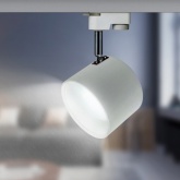 Светильник трековый однофазный ЭРА TR15-GX53 WH/SL под лампу-GX53, алюминий, цвет белый+серебро