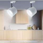 Светильник трековый однофазный ЭРА TR15-GX53 WH/SL под лампу-GX53, алюминий, цвет белый+серебро