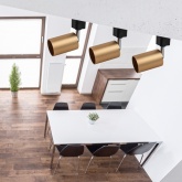 Светильник трековый однофазный ЭРА TR14-GU10 SG под лампу MR16 55x165мм, сатин золото