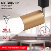 Светильник трековый однофазный ЭРА TR14-GU10 SG под лампу MR16 55x165мм, сатин золото