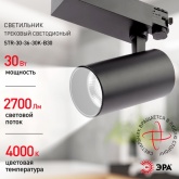 Светильник трековый трехфазный ЭРА STR-30-36-30K-B30 узкий луч 30W 3000K 36° черный