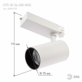 Светильник трековый трехфазный ЭРА STR-30-36-40K-W40 узкий луч 4000K белый