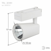 Светильник светодиодный трековый ЭРА TR4 - 30 WH 30W белый COB