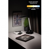 Светильник светодиодный настольный ЭРА NLED-456-10W-BK-S сенсорный черный с серебром (5055945557909