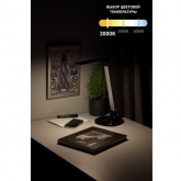 Светильник светодиодный настольный ЭРА NLED-456-10W-BK-S сенсорный черный с серебром (5055945557909